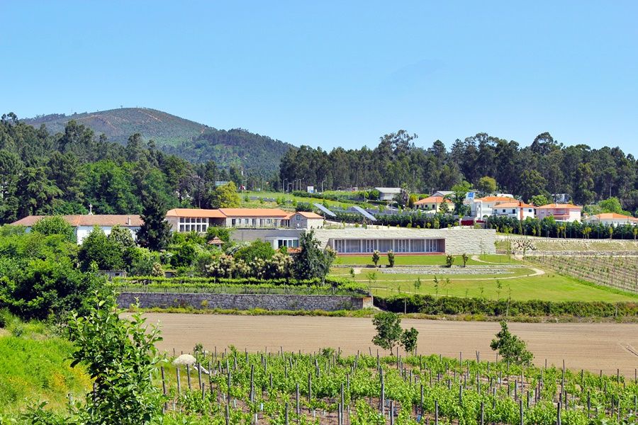 Lousada Country Hotel Exteriér fotografie